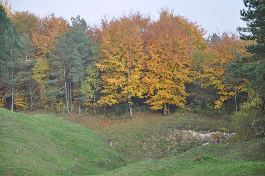 Beauté d'une forêt sépulture.