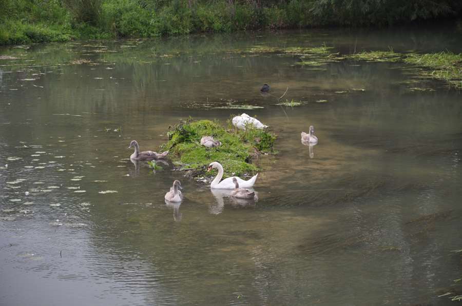 En famille