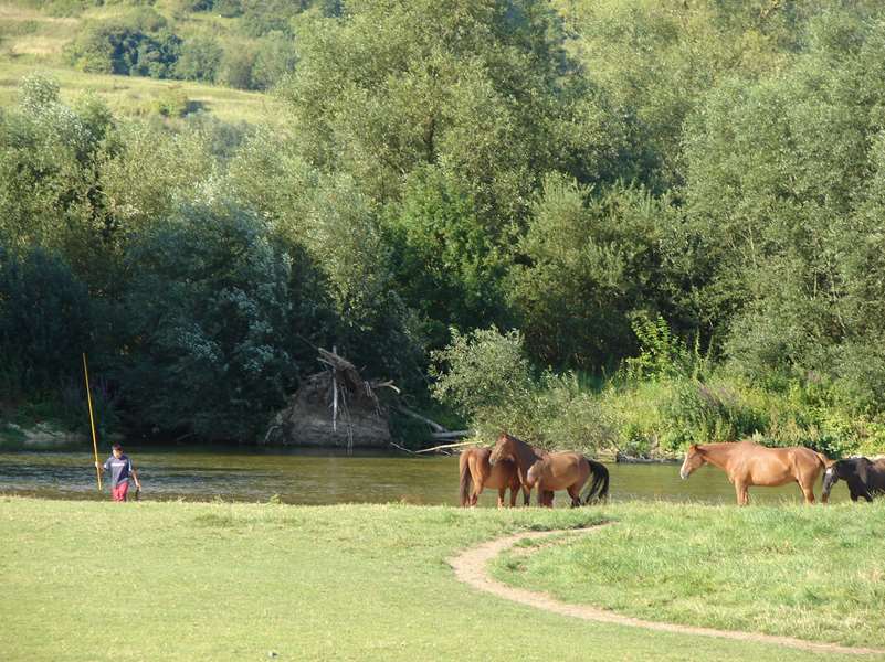 L'été pour tous