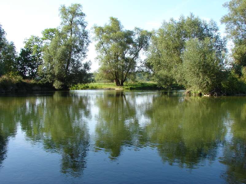 Les pieds dans l'eau