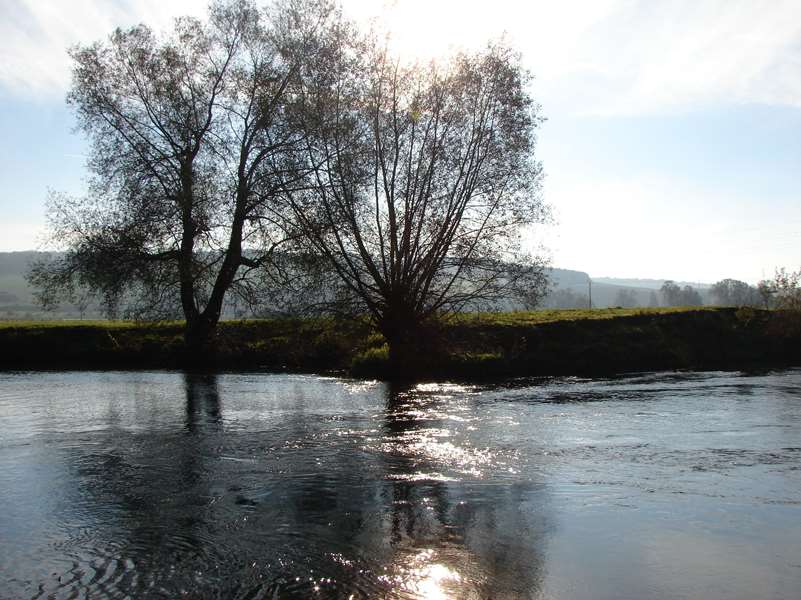 Contre jour