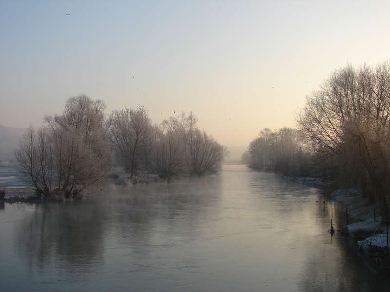 Brume d'hiver